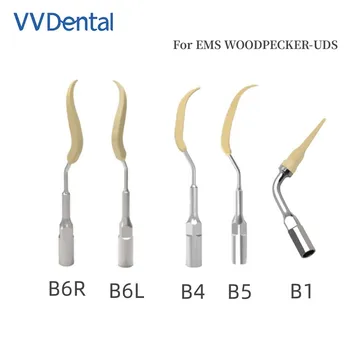 Наконечник Ультразвукового Стоматологического Скалера VV Dental B5 B1 подходит для Наконечника EMS WOODPECKER-UDS для Чистки Имплантированных Керамических Ортодонтических Зубов
